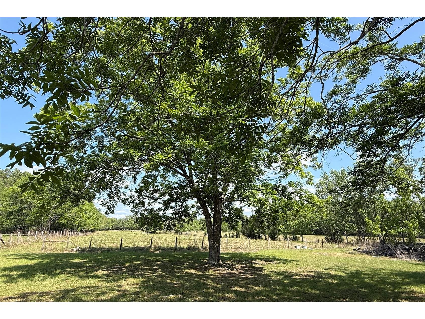 18919 NW 62nd Avenue Alachua FL 32615 GC539982 image18