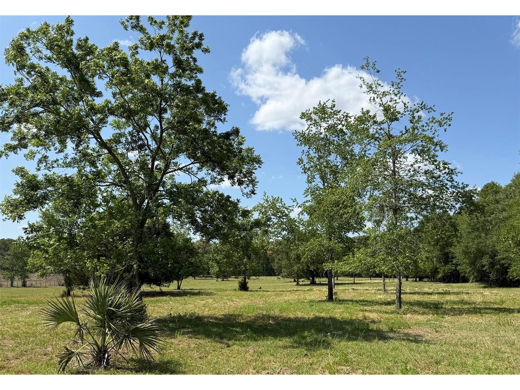 18919 NW 62nd Avenue Alachua FL 32615 GC539982 image3