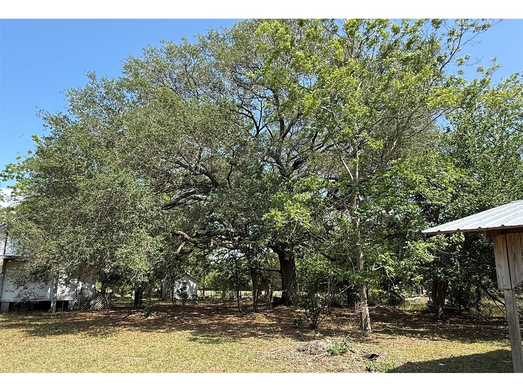 18919 NW 62nd Avenue Alachua FL 32615 GC539982 image4