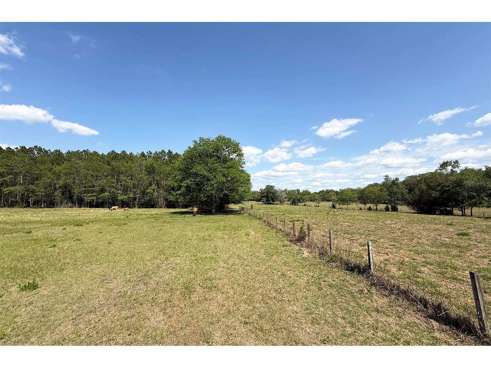 18919 NW 62nd Avenue Alachua FL 32615 GC539982 image7