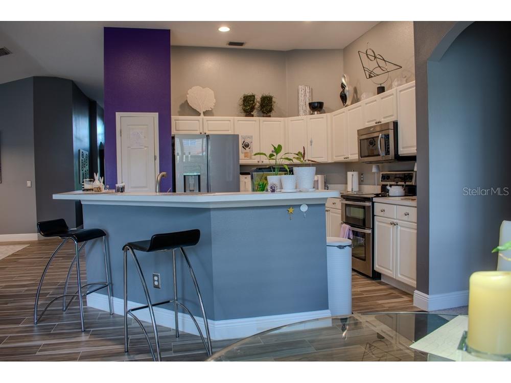 18919 Place Marquette Lutz FL 33558 TB8368159 image10