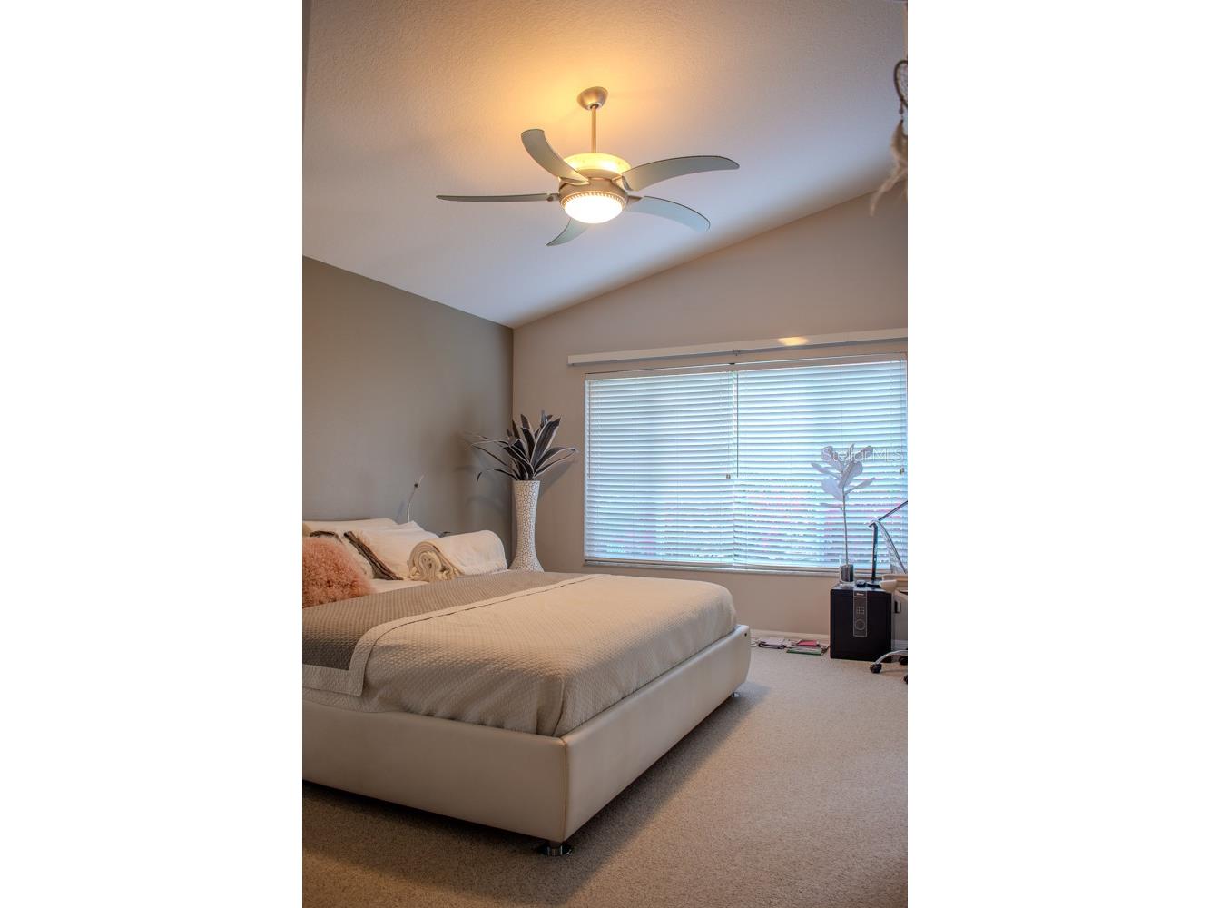 18919 Place Marquette Lutz FL 33558 TB8368159 image16