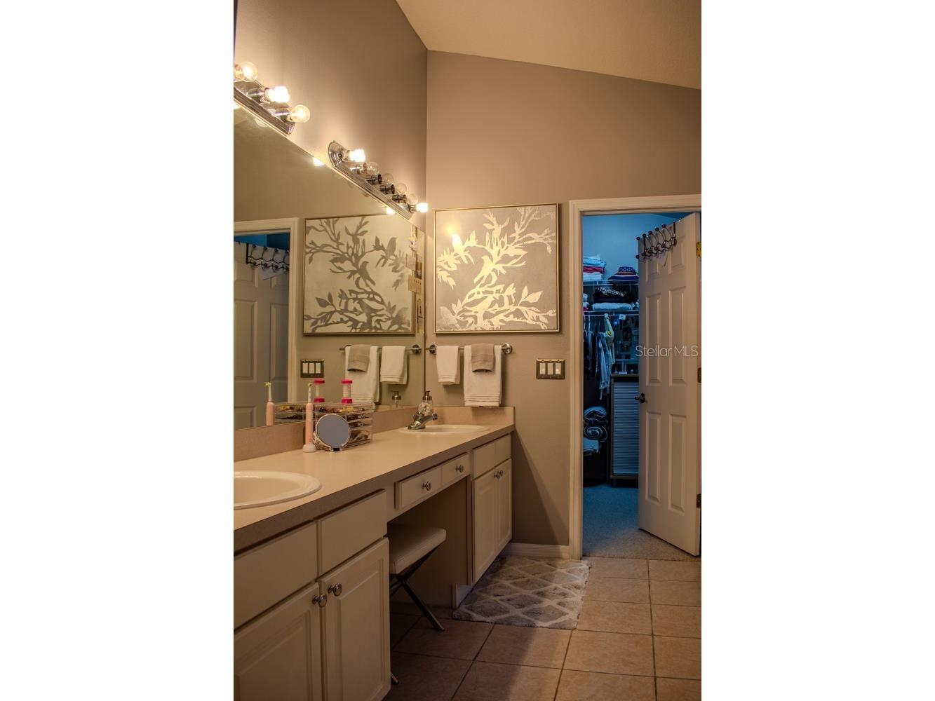 18919 Place Marquette Lutz FL 33558 TB8368159 image18