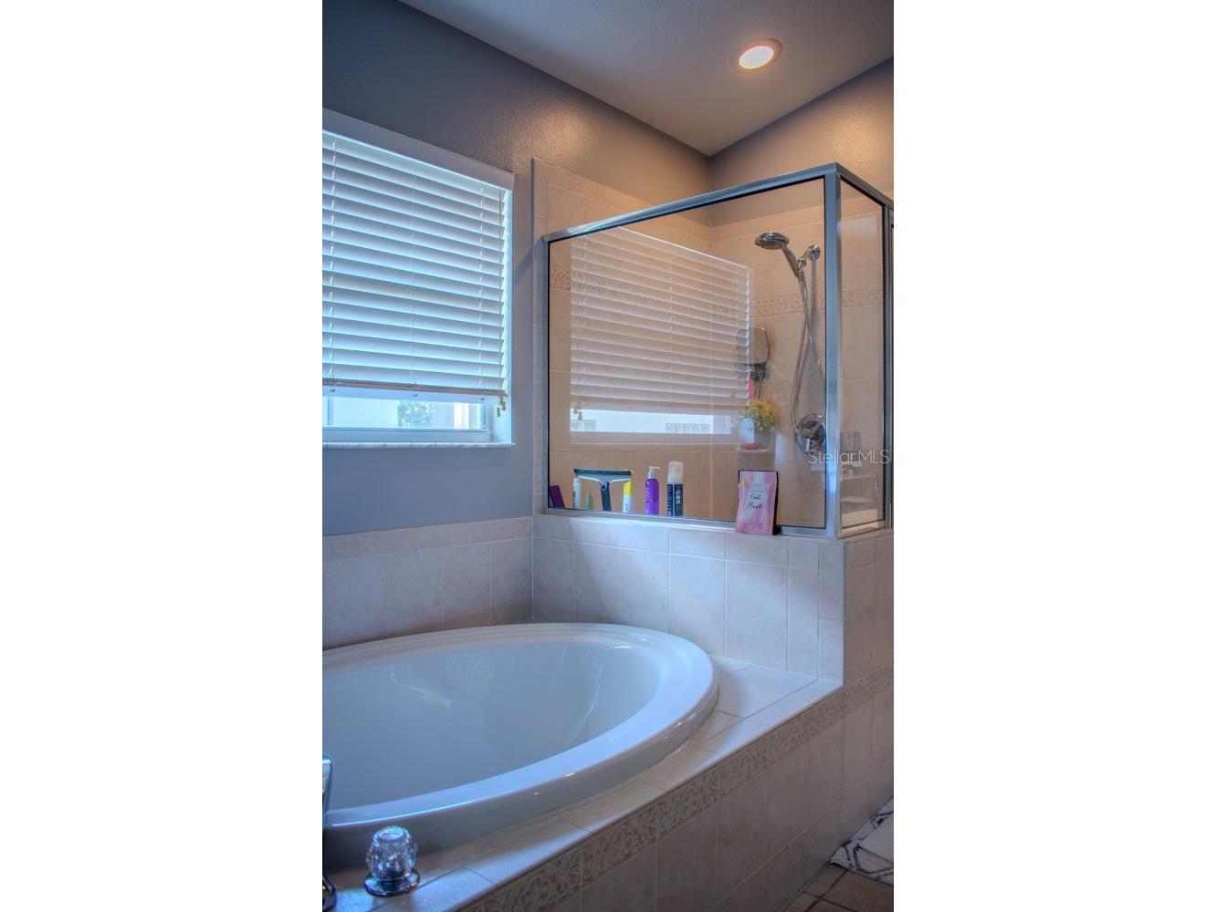 18919 Place Marquette Lutz FL 33558 TB8368159 image19