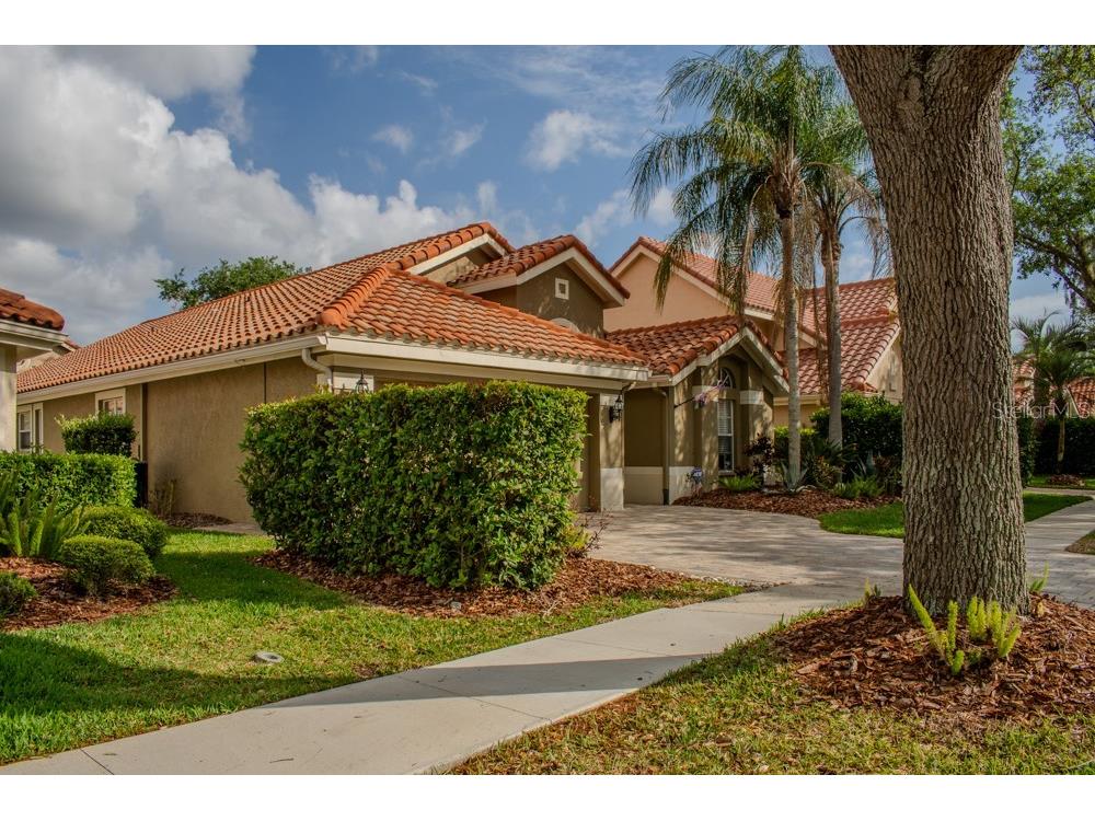 18919 Place Marquette Lutz FL 33558 TB8368159 image2