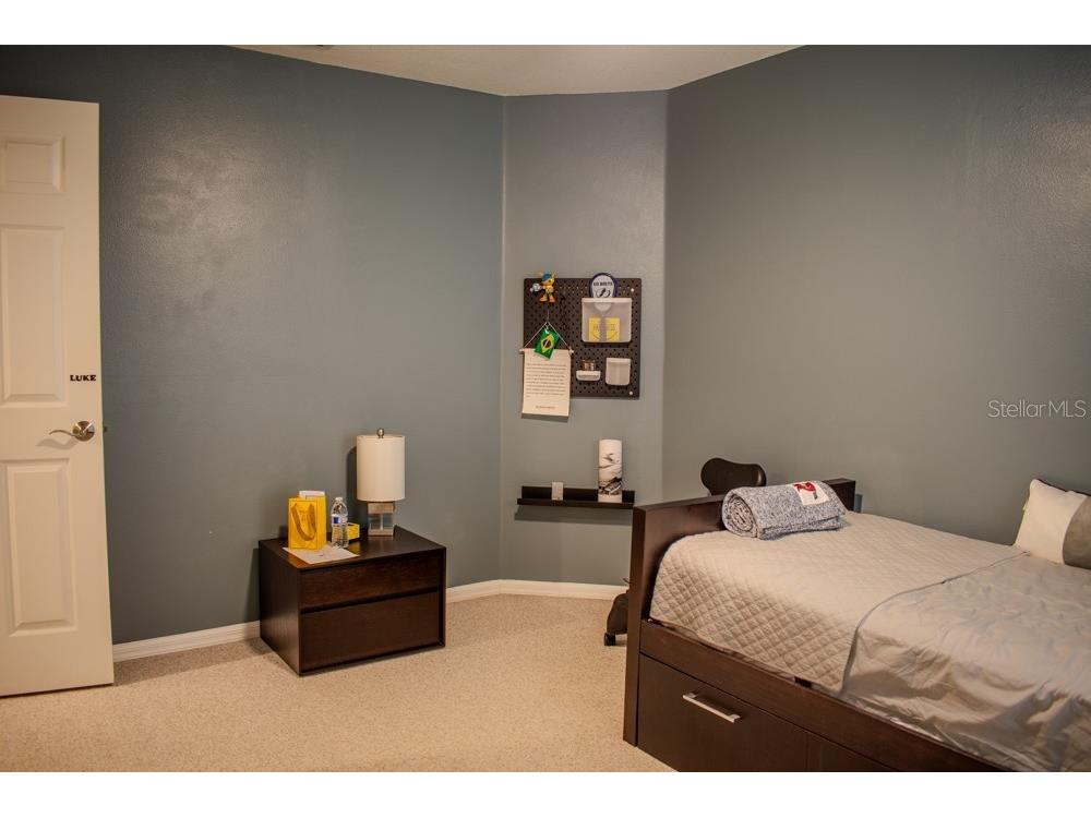 18919 Place Marquette Lutz FL 33558 TB8368159 image21