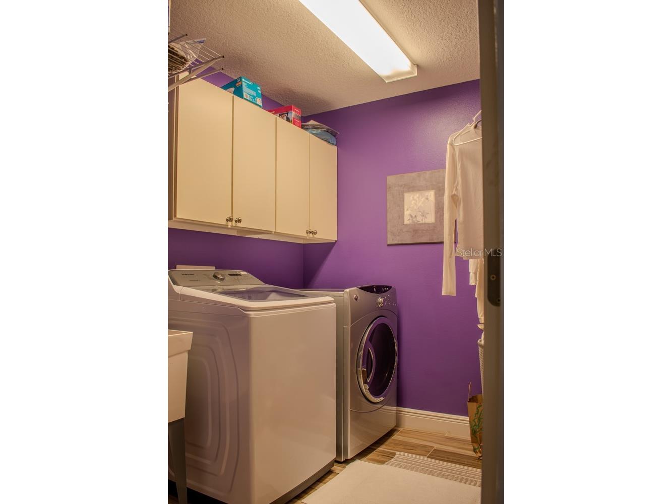 18919 Place Marquette Lutz FL 33558 TB8368159 image25