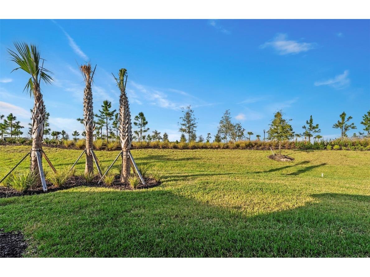 18921 Indian Rock Place Lakewood Ranch FL 34211 TB8451495 image19