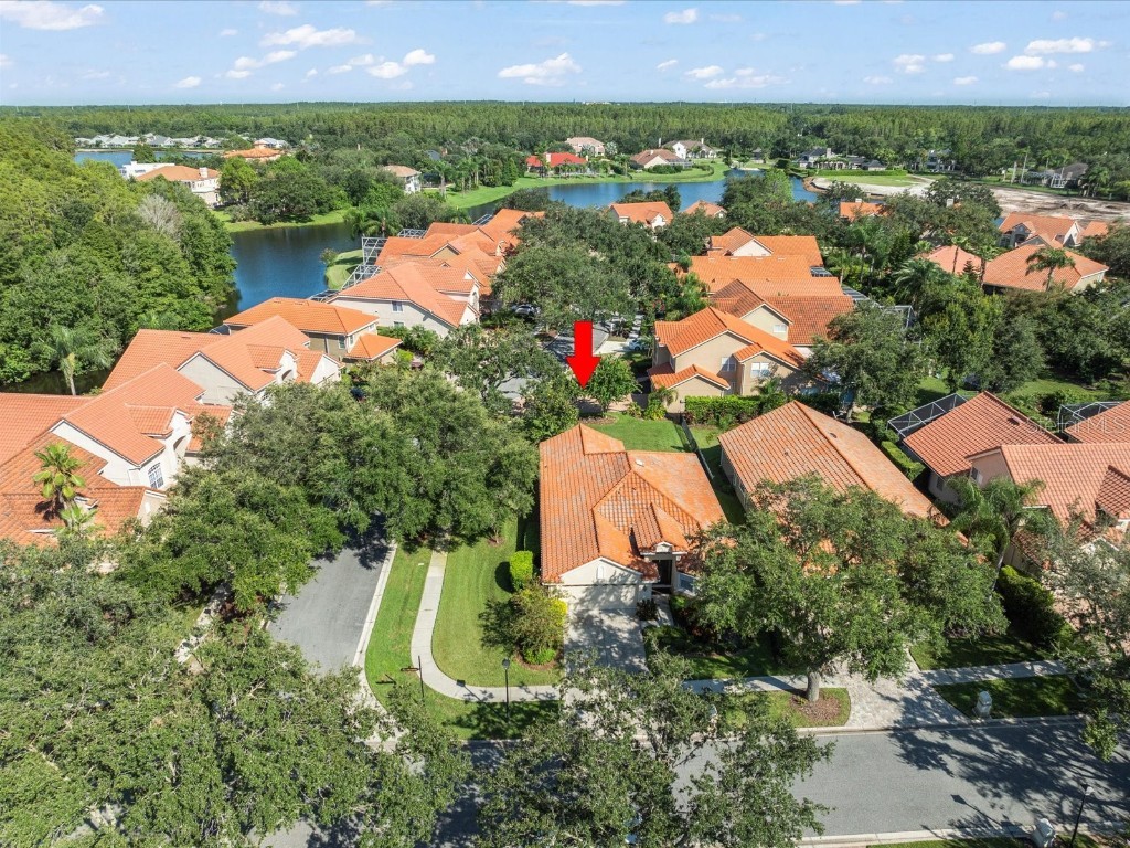 18921 Place Marquette Lutz FL 33558 TB8423077 image50