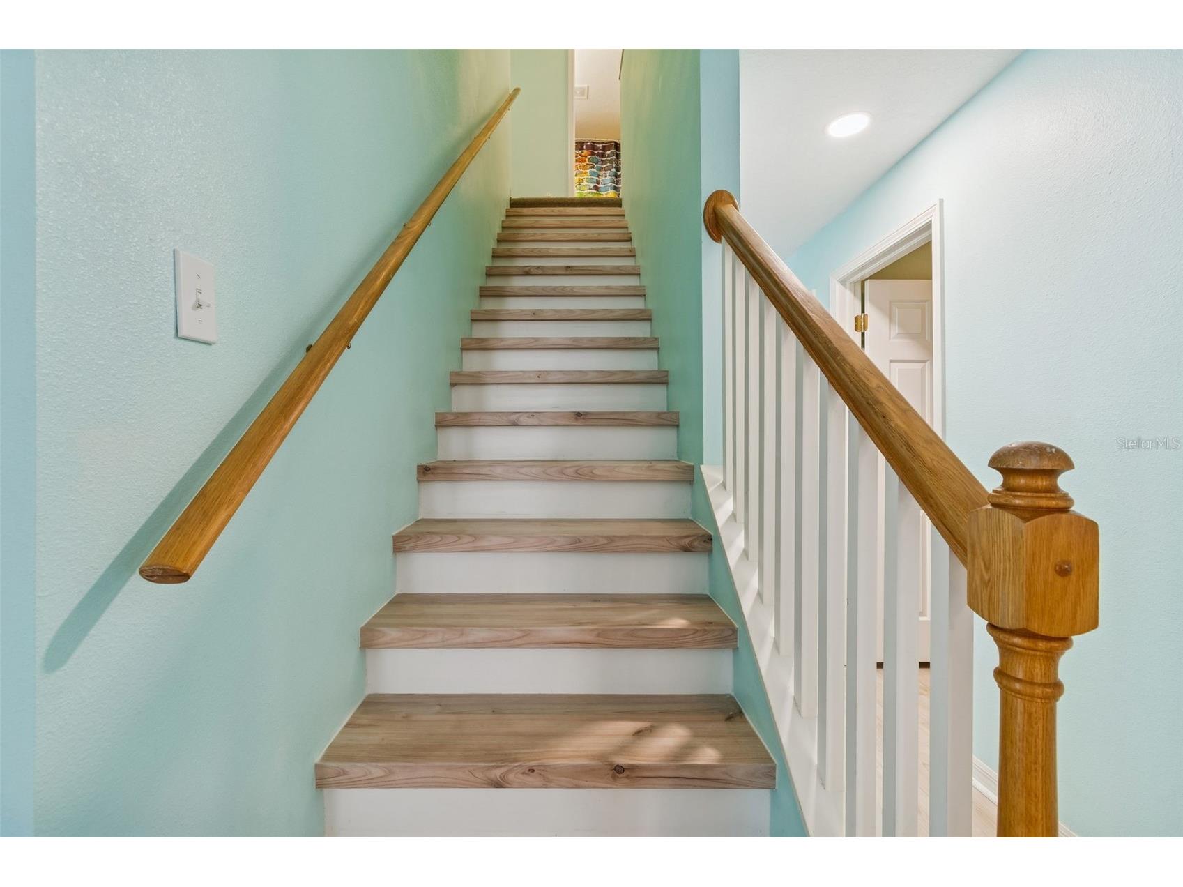 18922 Fishermans Bend Drive Lutz FL 33558 TB8472910 image17