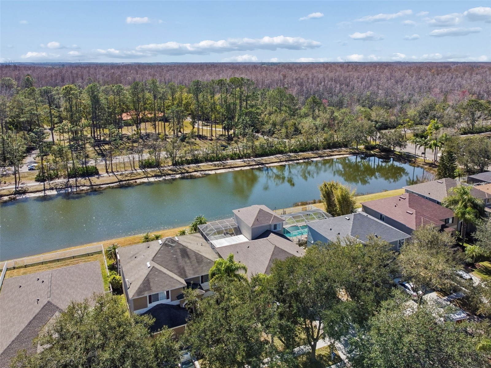 18922 Fishermans Bend Drive Lutz FL 33558 TB8472910 image26