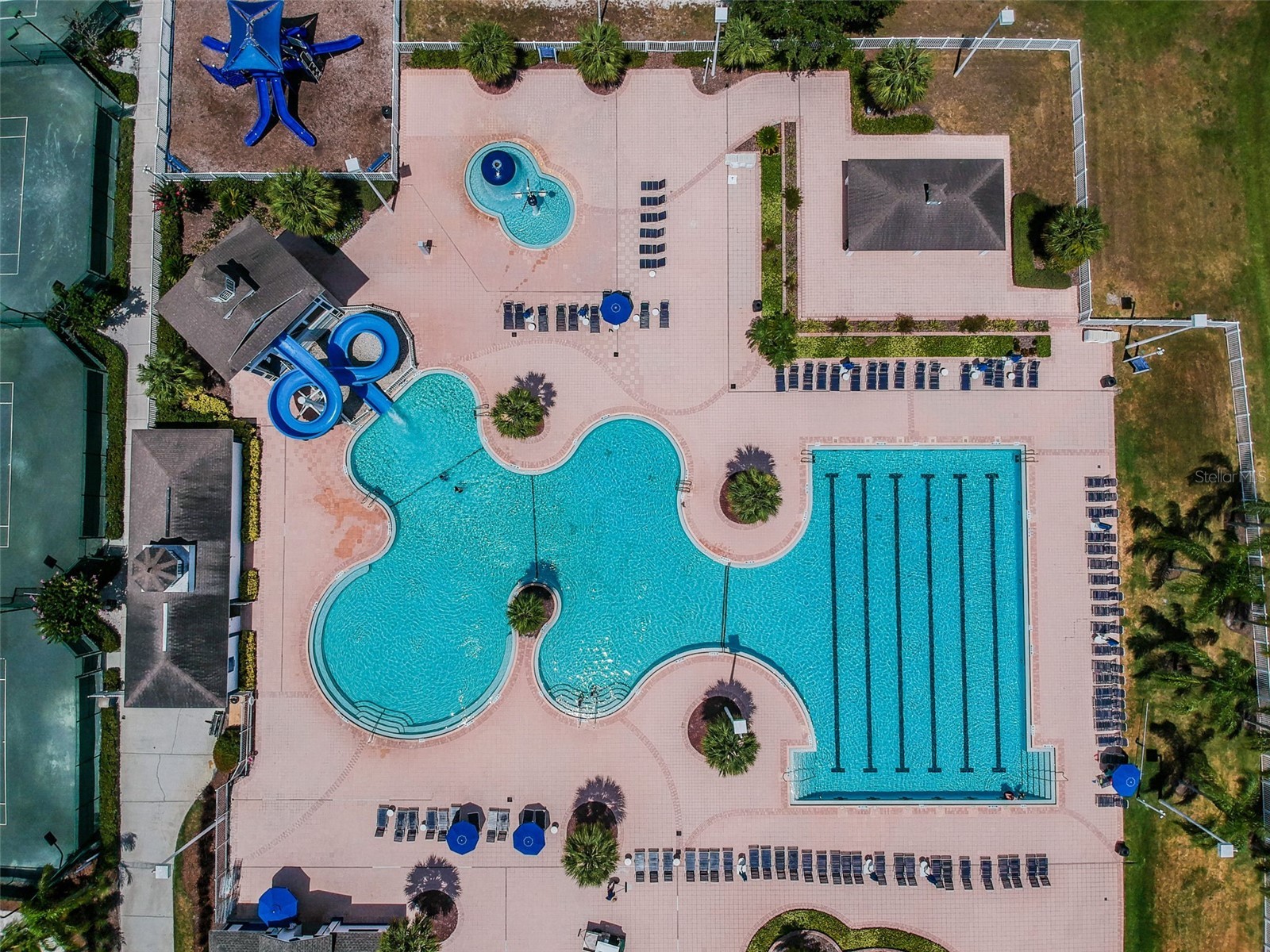 18922 Fishermans Bend Drive Lutz FL 33558 TB8472910 image31