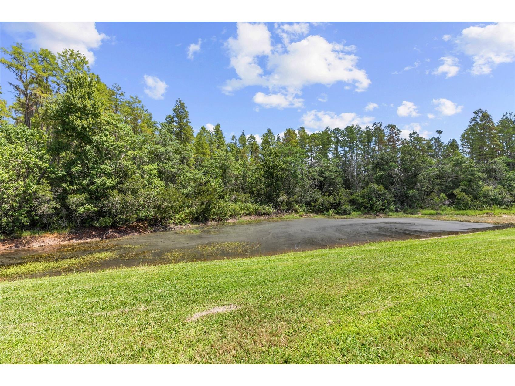 18923 Fishermans Bend Drive Lutz FL 33558 TB8527333 image44