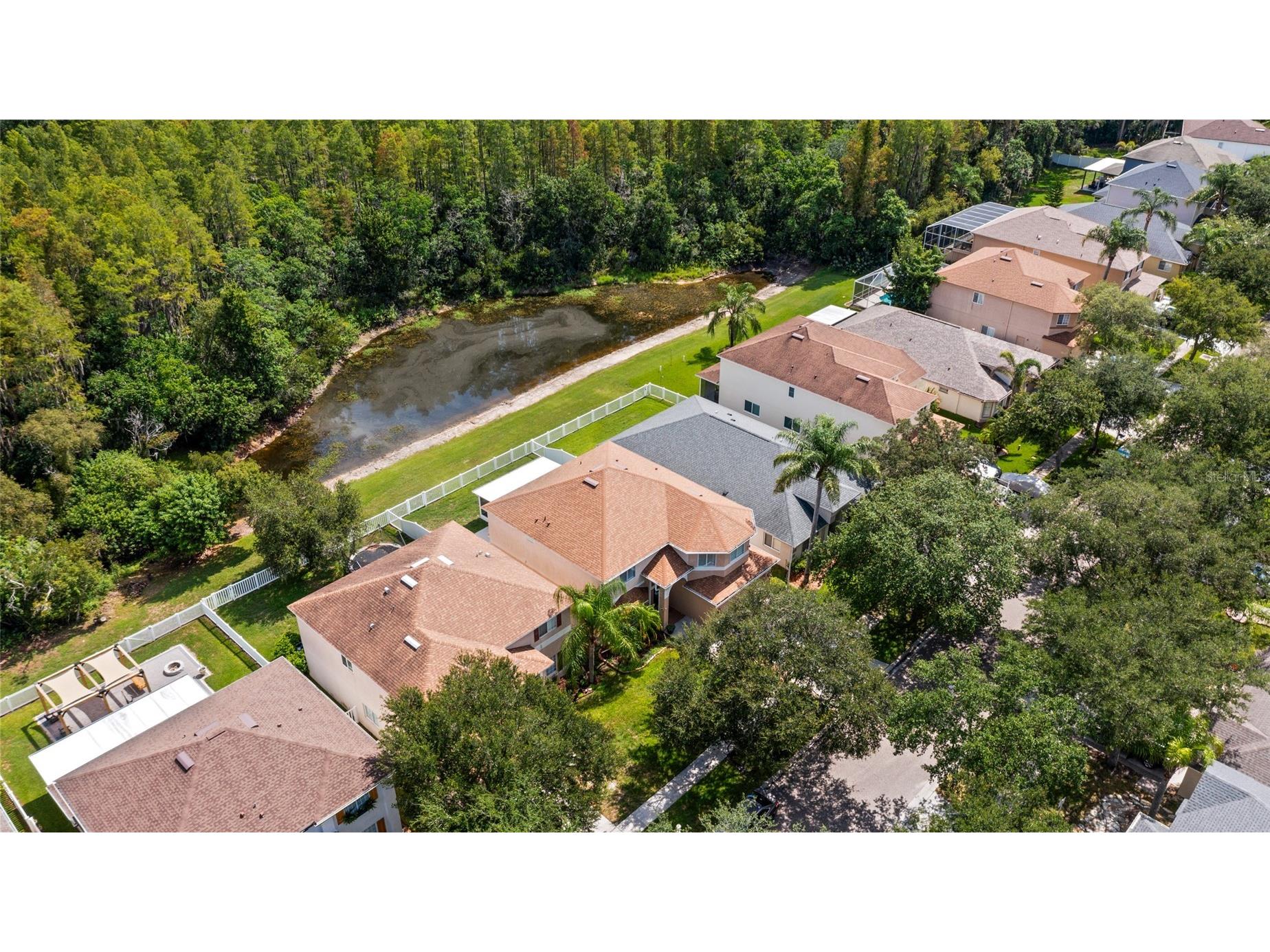 18923 Fishermans Bend Drive Lutz FL 33558 TB8527333 image51