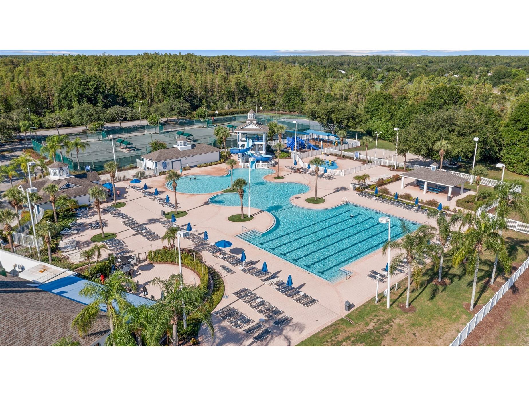 18923 Fishermans Bend Drive Lutz FL 33558 TB8527333 image57