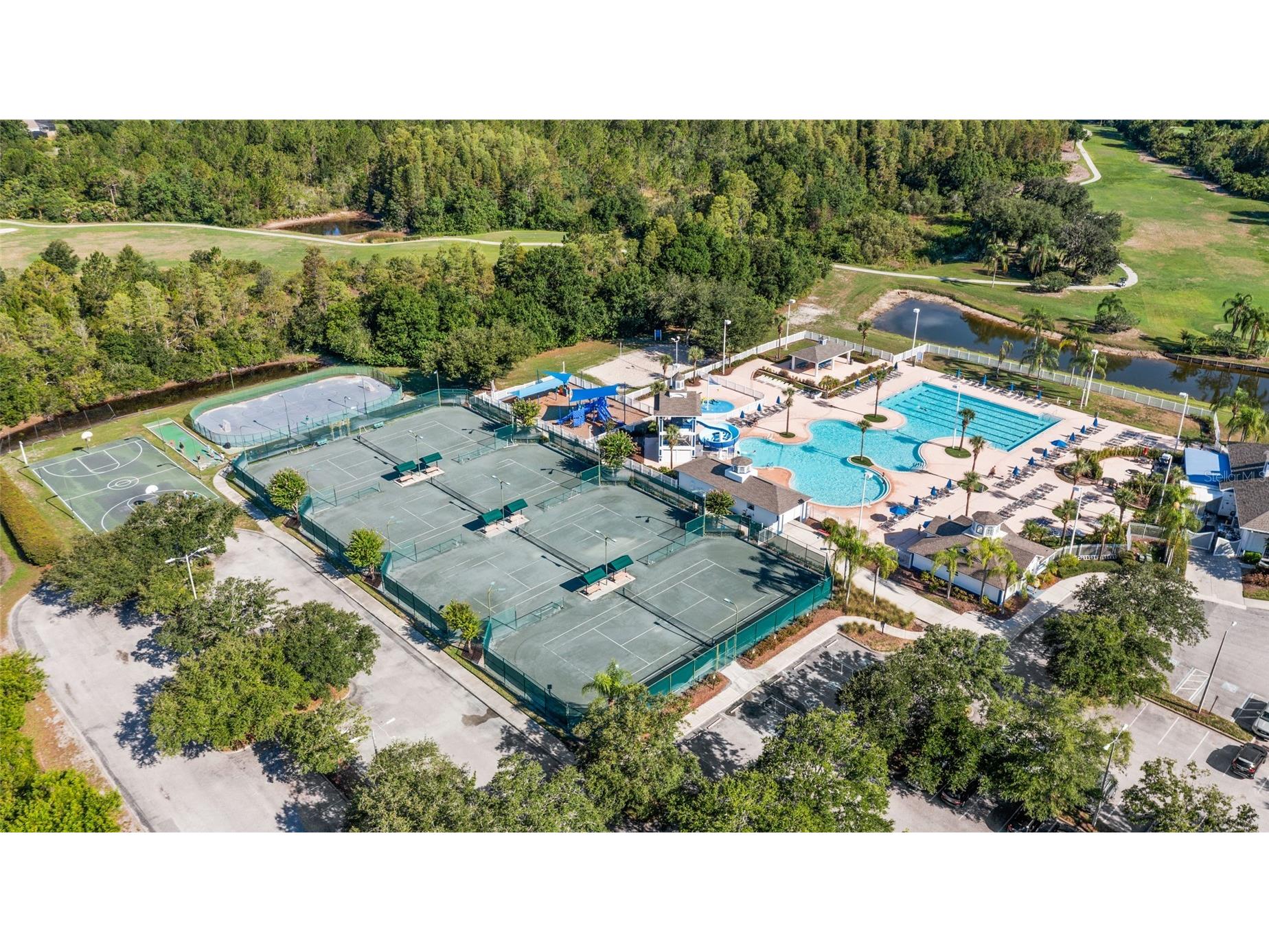 18923 Fishermans Bend Drive Lutz FL 33558 TB8527333 image62