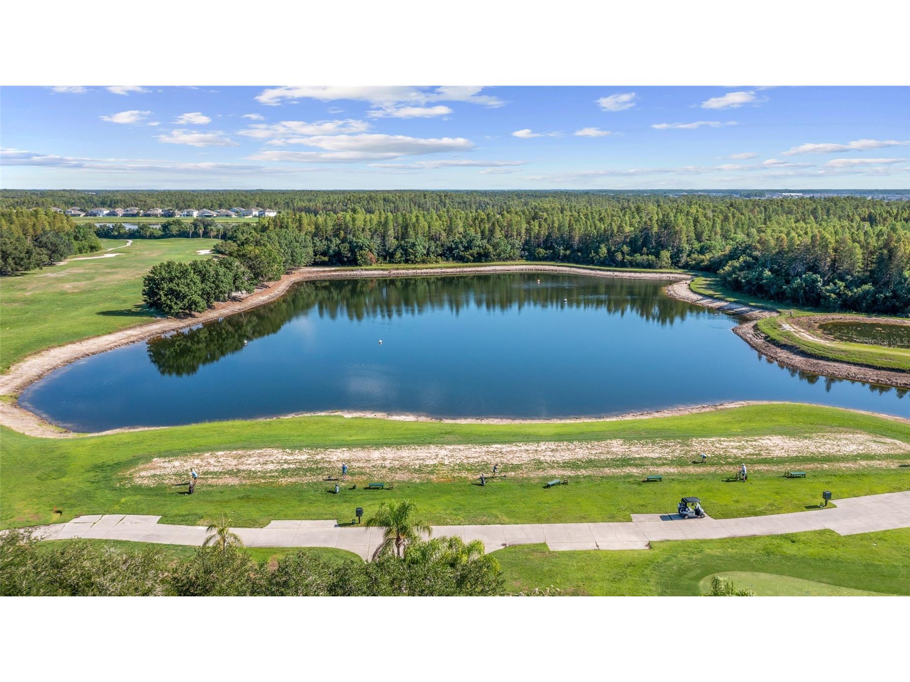 18923 Fishermans Bend Drive Lutz FL 33558 TB8527333 image66