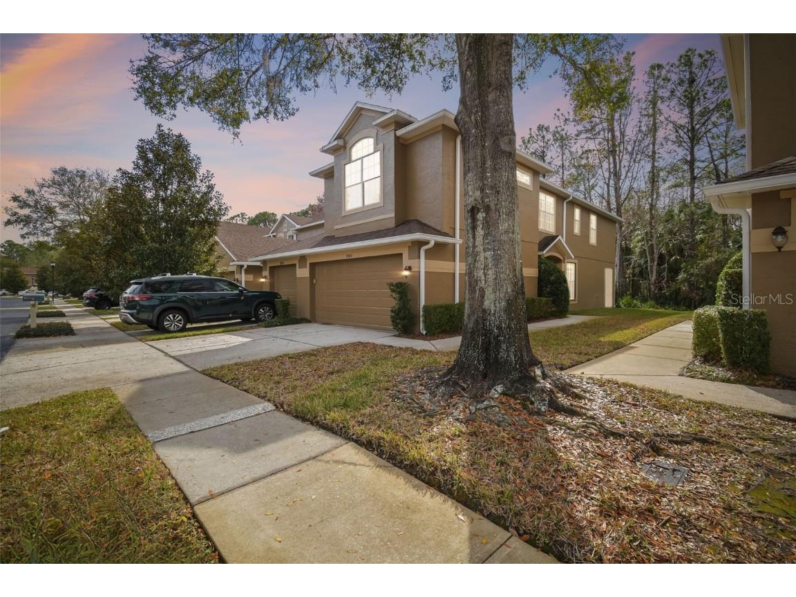 18924 Duquesne Drive Tampa FL 33647 TB8341860 image1