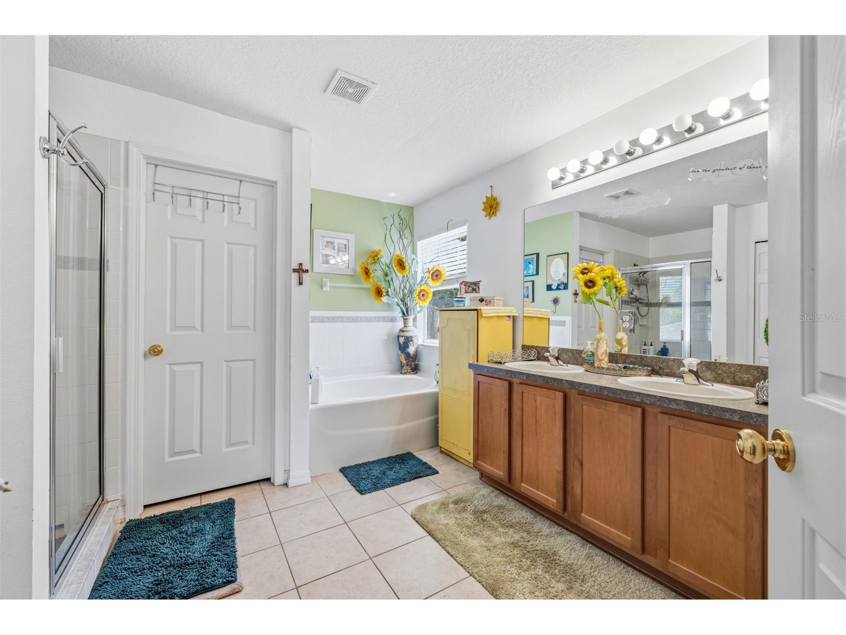 18924 Fishermans Bend Drive Lutz FL 33558 TB8499158 image21