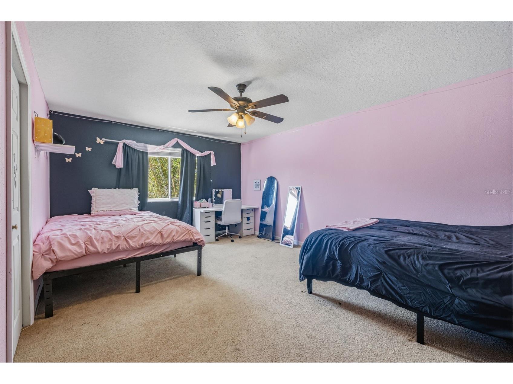18924 Fishermans Bend Drive Lutz FL 33558 TB8499158 image22
