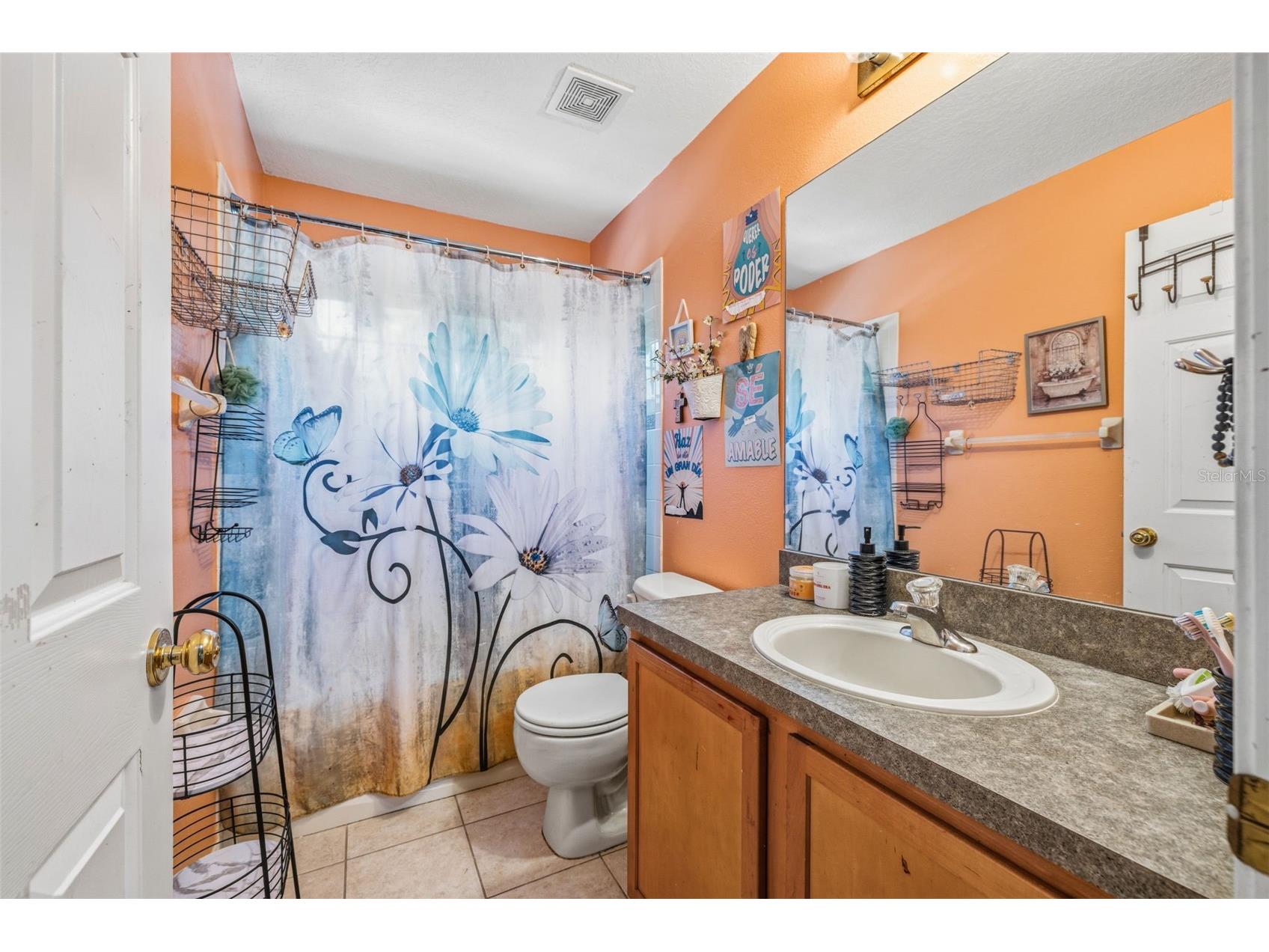 18924 Fishermans Bend Drive Lutz FL 33558 TB8499158 image24