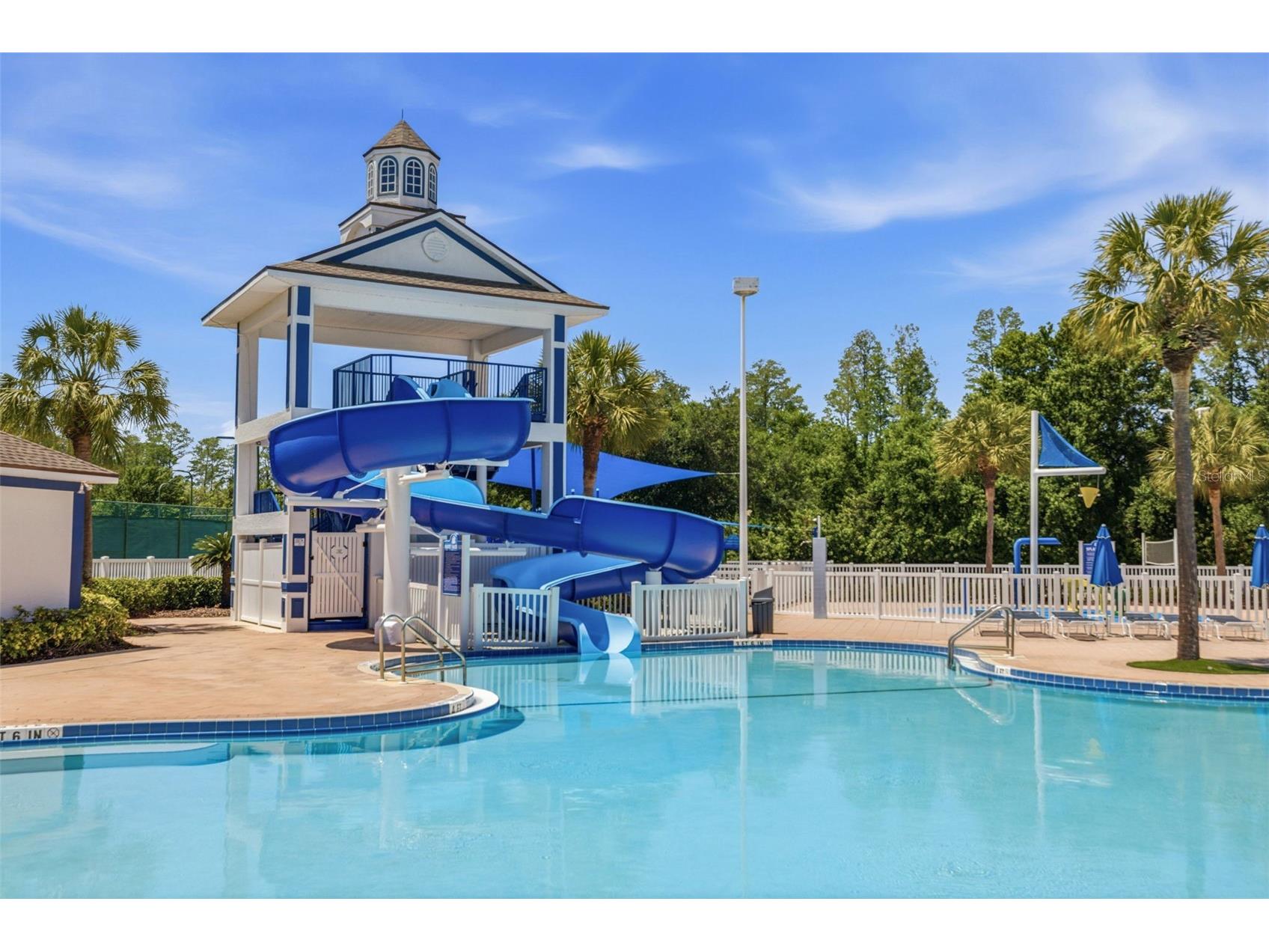18924 Fishermans Bend Drive Lutz FL 33558 TB8499158 image28