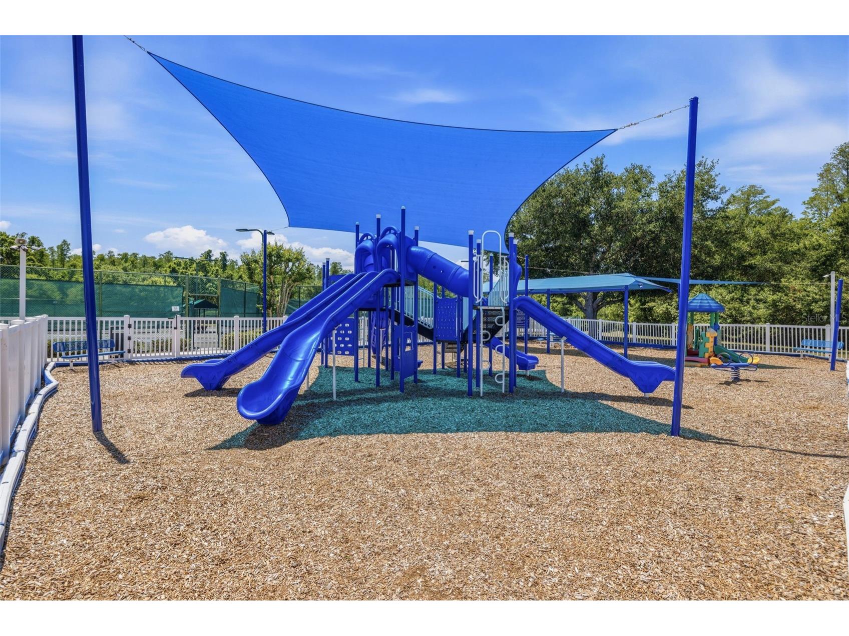 18924 Fishermans Bend Drive Lutz FL 33558 TB8499158 image31