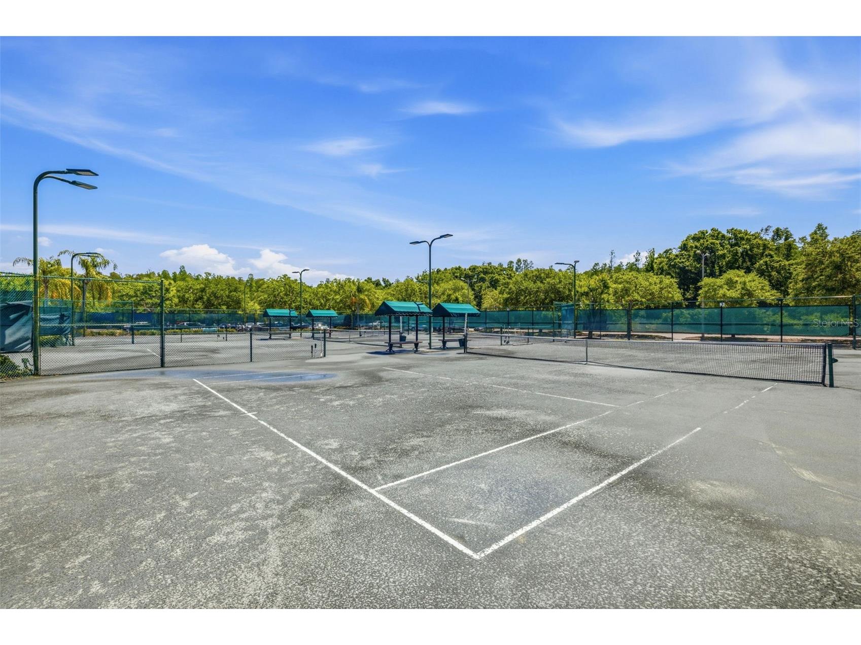 18924 Fishermans Bend Drive Lutz FL 33558 TB8499158 image32
