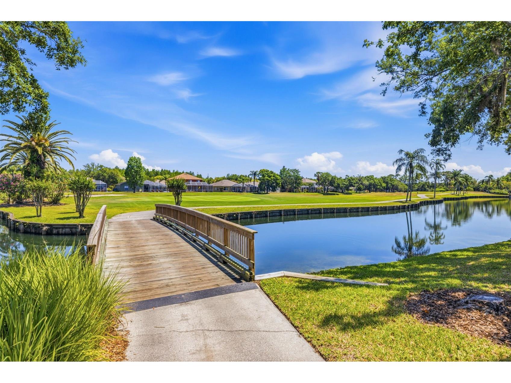 18924 Fishermans Bend Drive Lutz FL 33558 TB8499158 image34