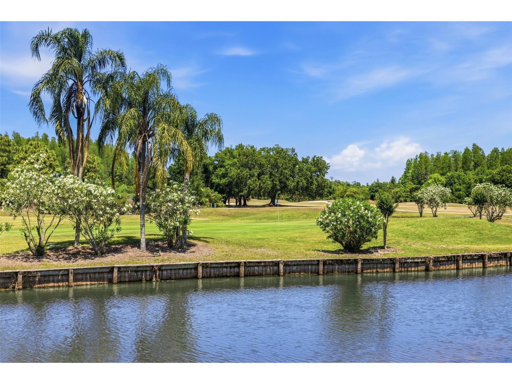18924 Fishermans Bend Drive Lutz FL 33558 TB8499158 image35