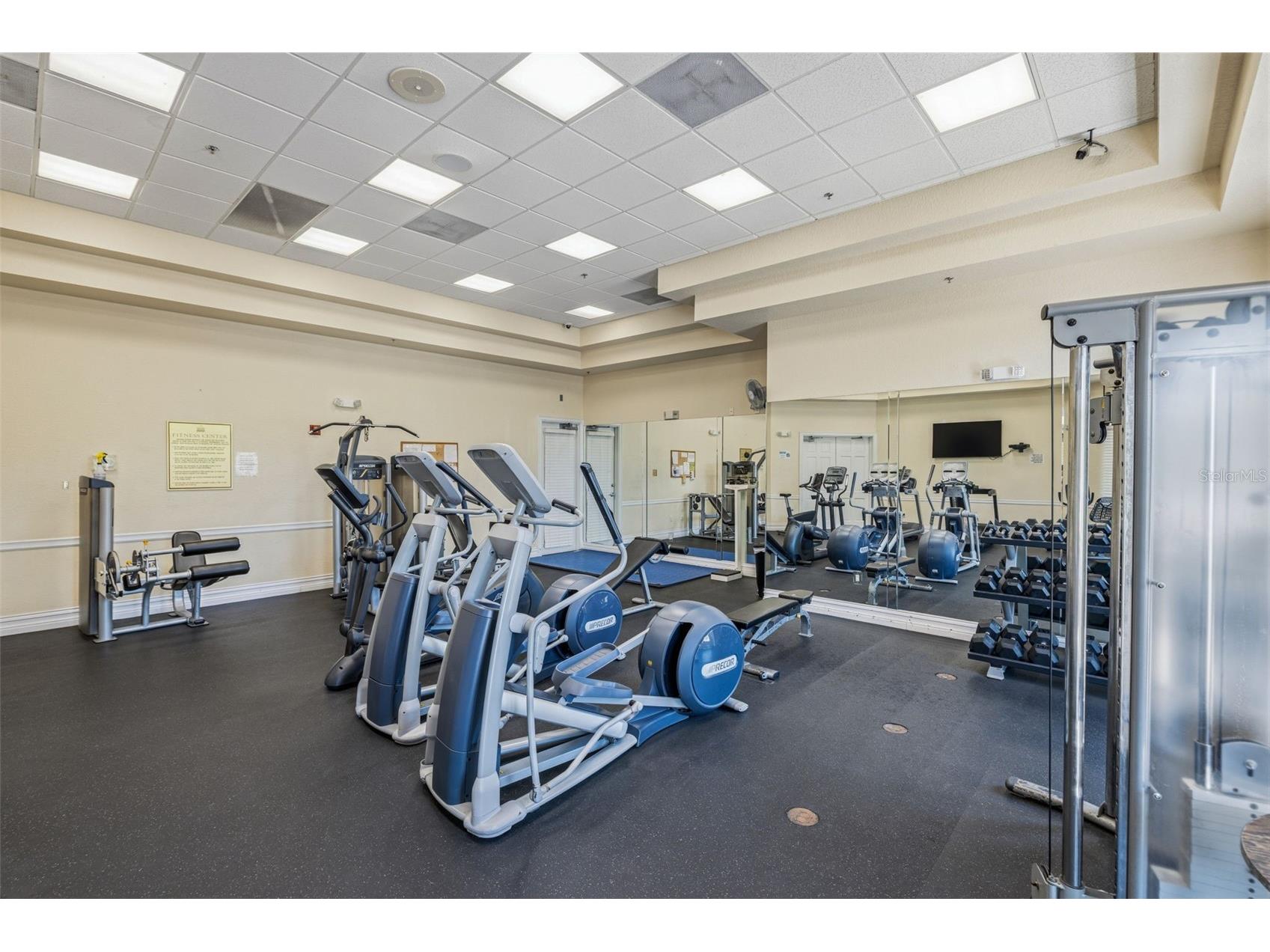 18924 Fishermans Bend Drive Lutz FL 33558 TB8499158 image36