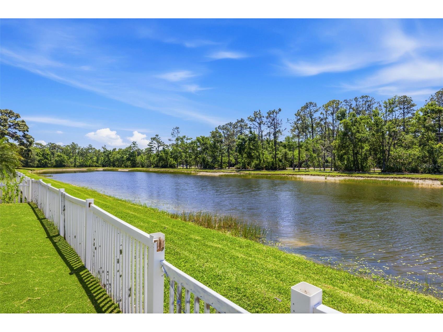 18924 Fishermans Bend Drive Lutz FL 33558 TB8499158 image6