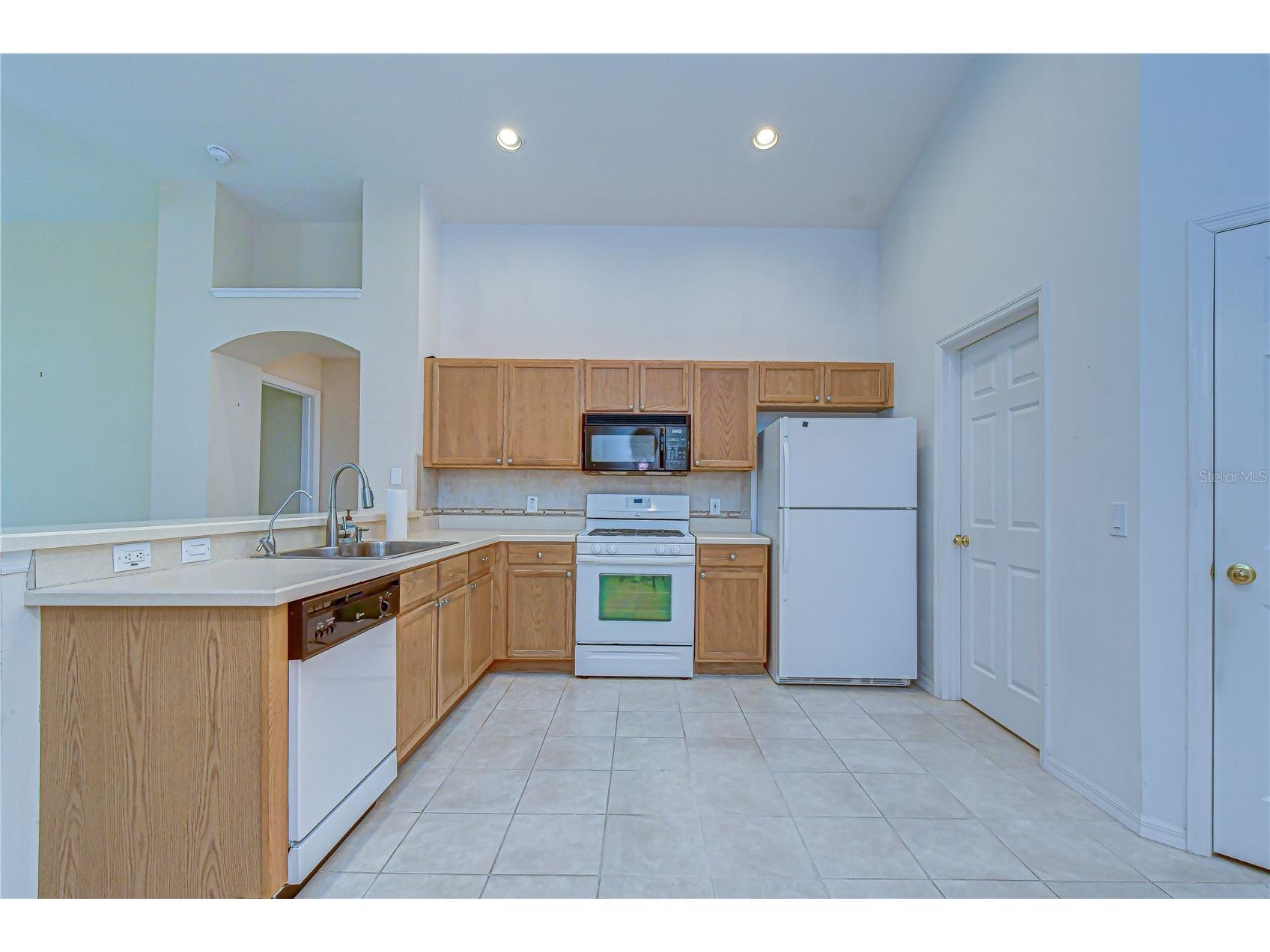 18927 Twinberry Drive Tampa FL 33647 TB8514155 image10