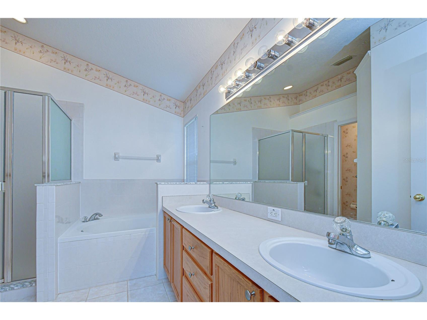 18927 Twinberry Drive Tampa FL 33647 TB8514155 image22