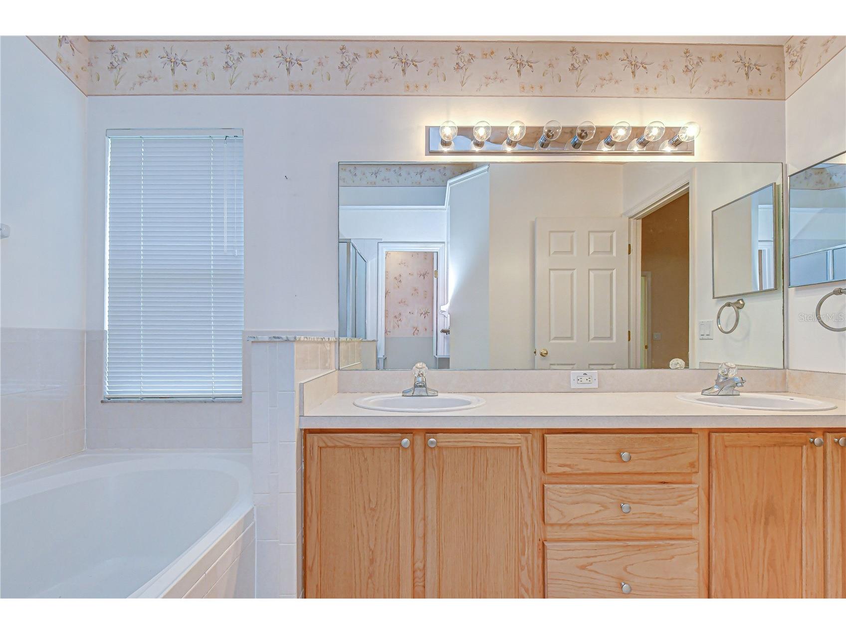 18927 Twinberry Drive Tampa FL 33647 TB8514155 image23
