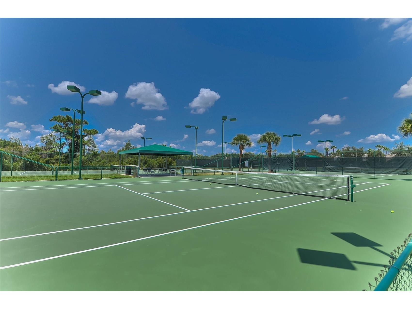 18927 Twinberry Drive Tampa FL 33647 TB8514155 image32