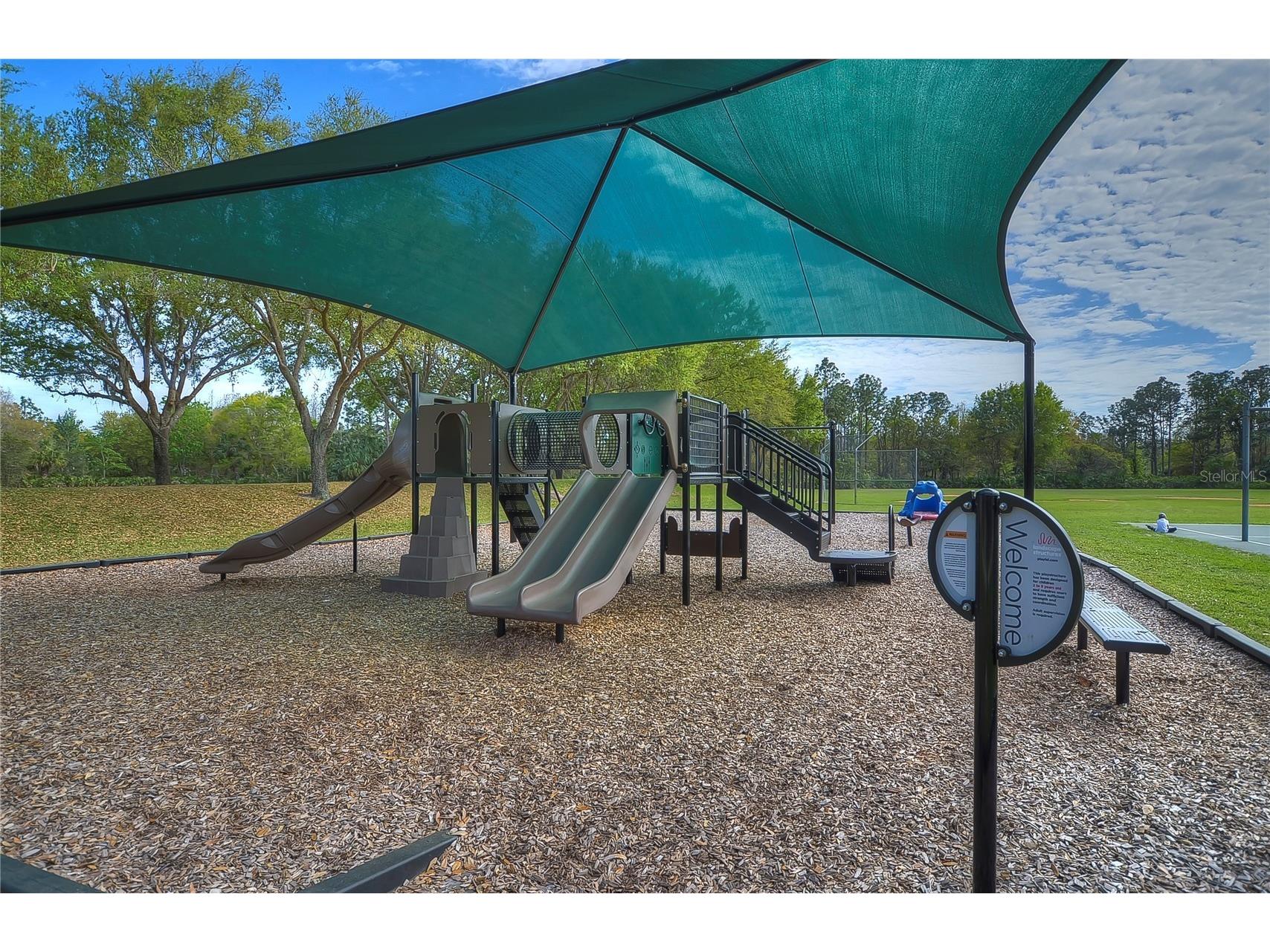 18927 Twinberry Drive Tampa FL 33647 TB8514155 image34