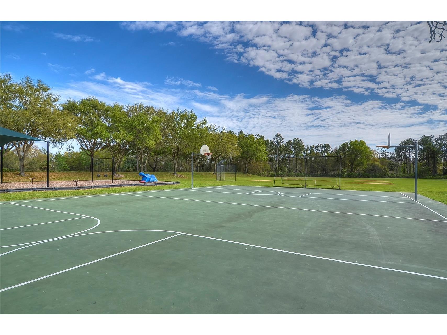 18927 Twinberry Drive Tampa FL 33647 TB8514155 image35