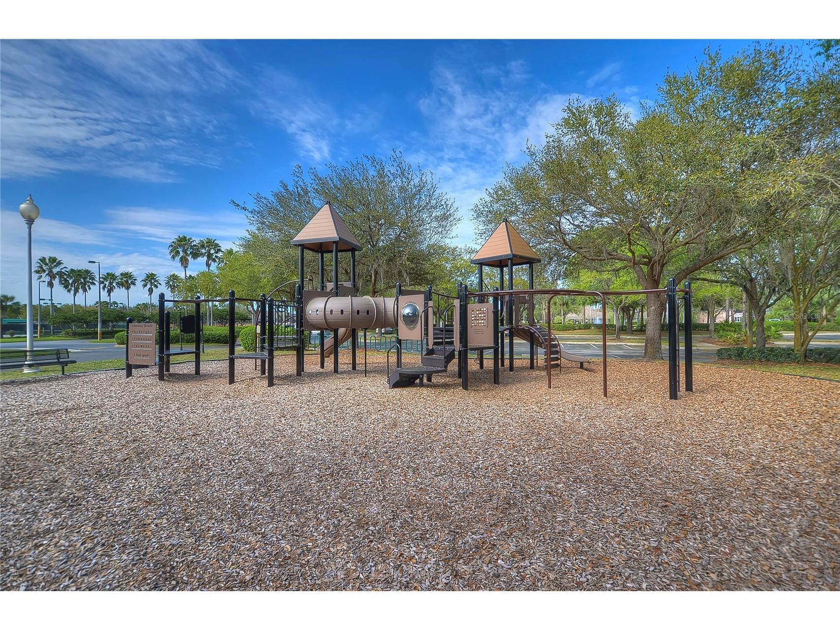 18927 Twinberry Drive Tampa FL 33647 TB8514155 image37