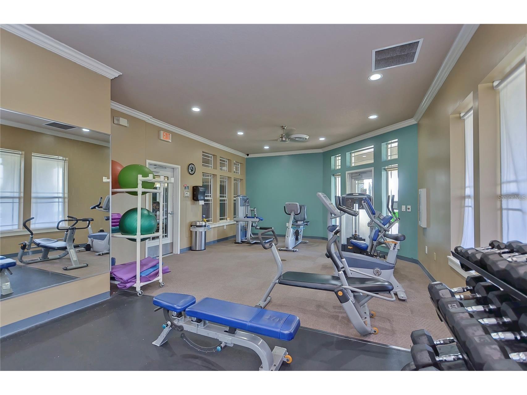 18927 Twinberry Drive Tampa FL 33647 TB8514155 image42