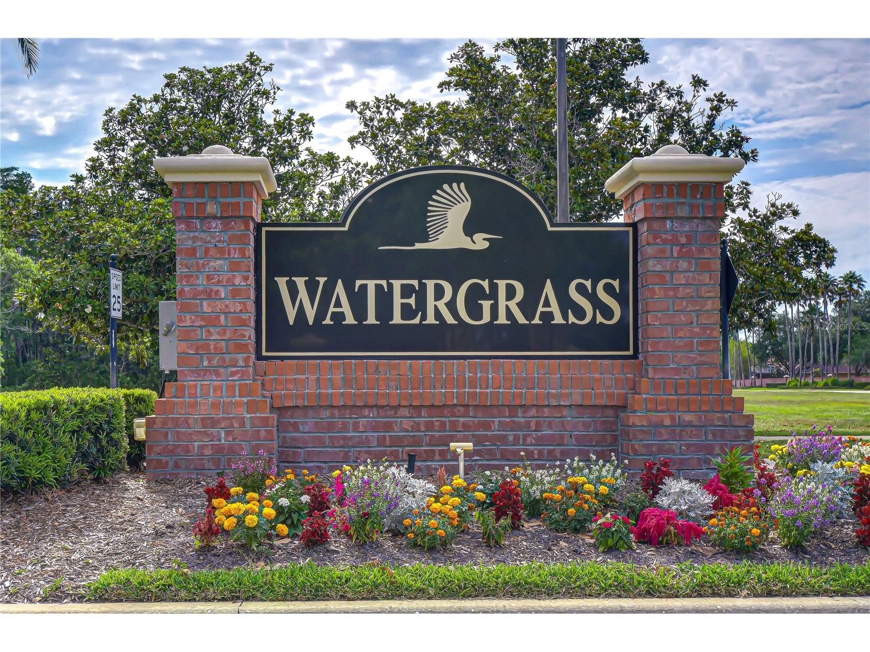 18927 Twinberry Drive Tampa FL 33647 TB8514155 image44