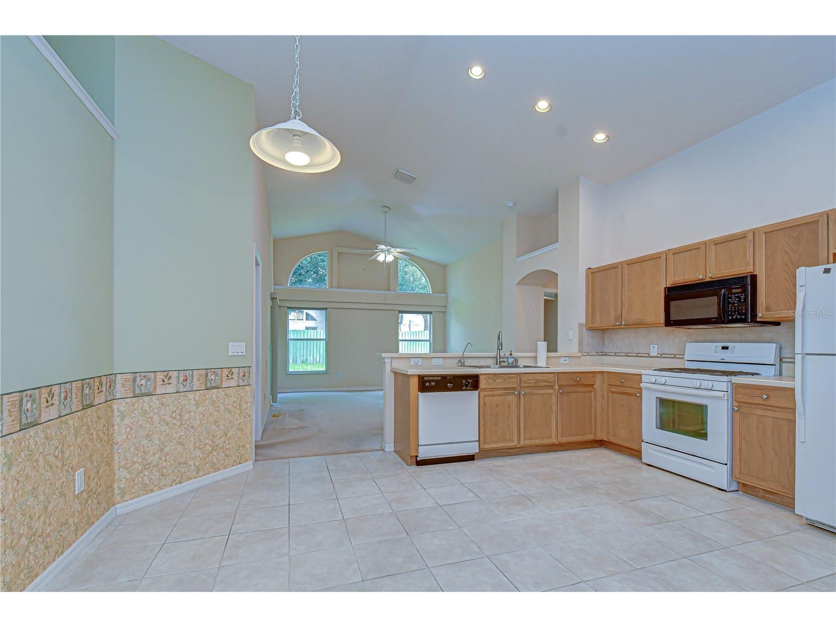 18927 Twinberry Drive Tampa FL 33647 TB8514155 image9