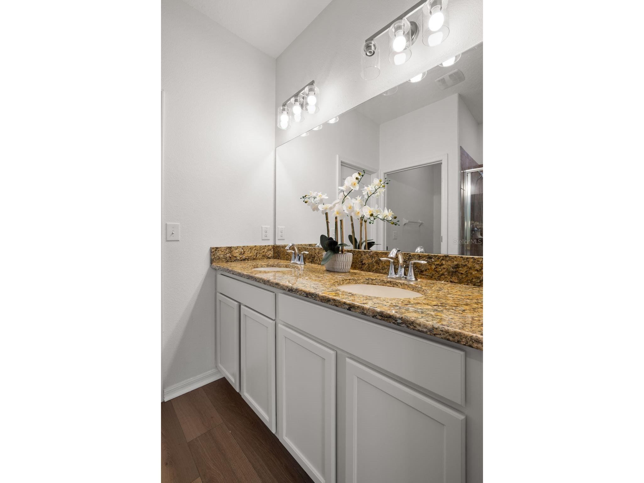 18928 Hampstead Heath Court Land O Lakes FL 34638 TB8502575 image16