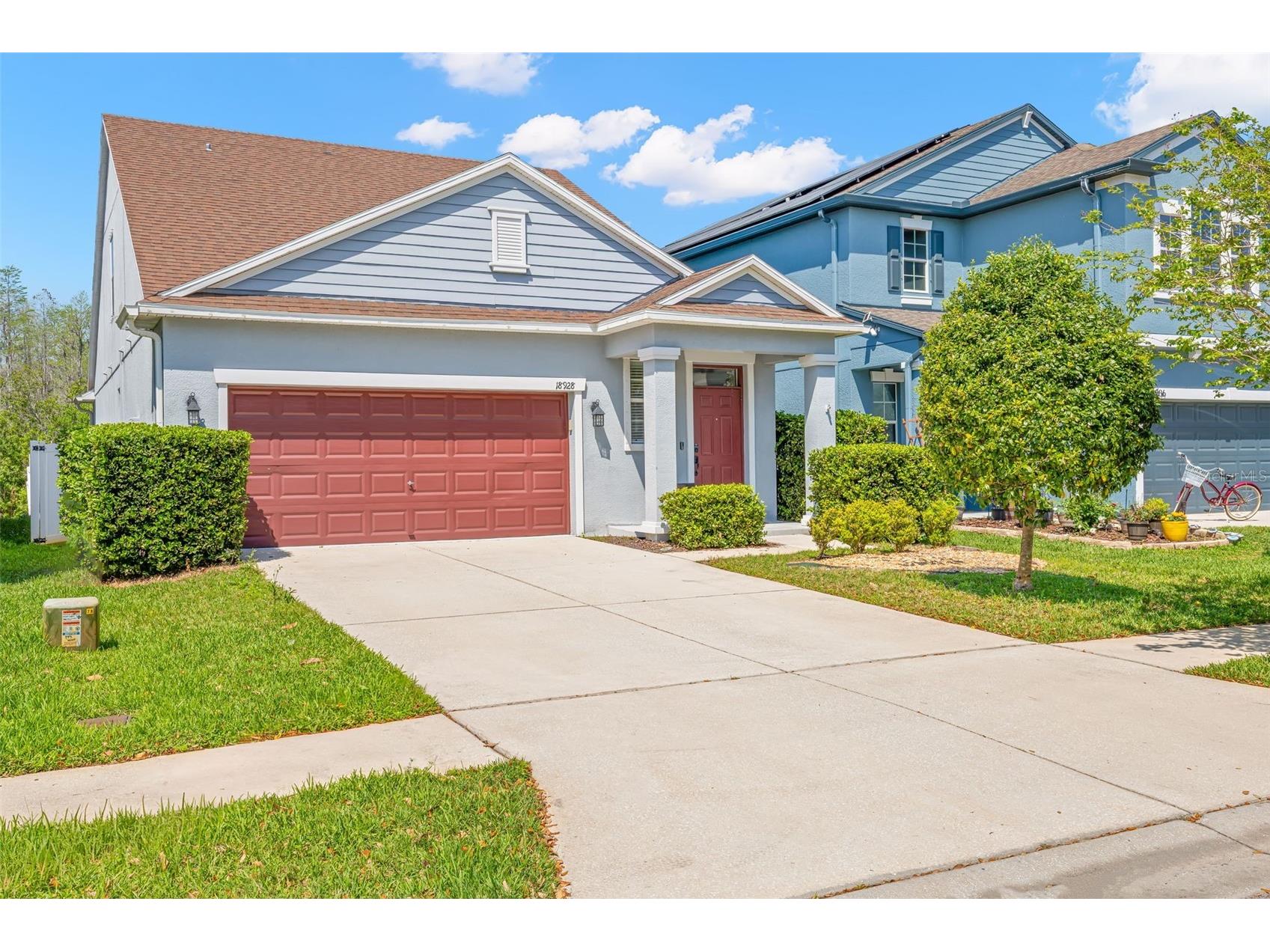 18928 Hampstead Heath Court Land O Lakes FL 34638 TB8502575 image2