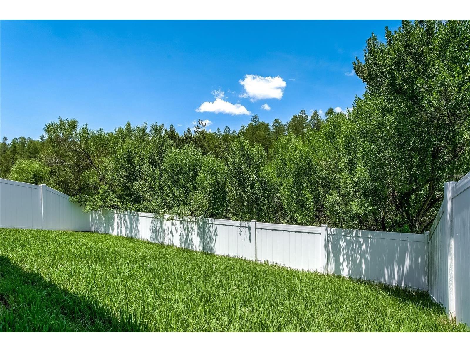 18928 Hampstead Heath Court Land O Lakes FL 34638 TB8502575 image31