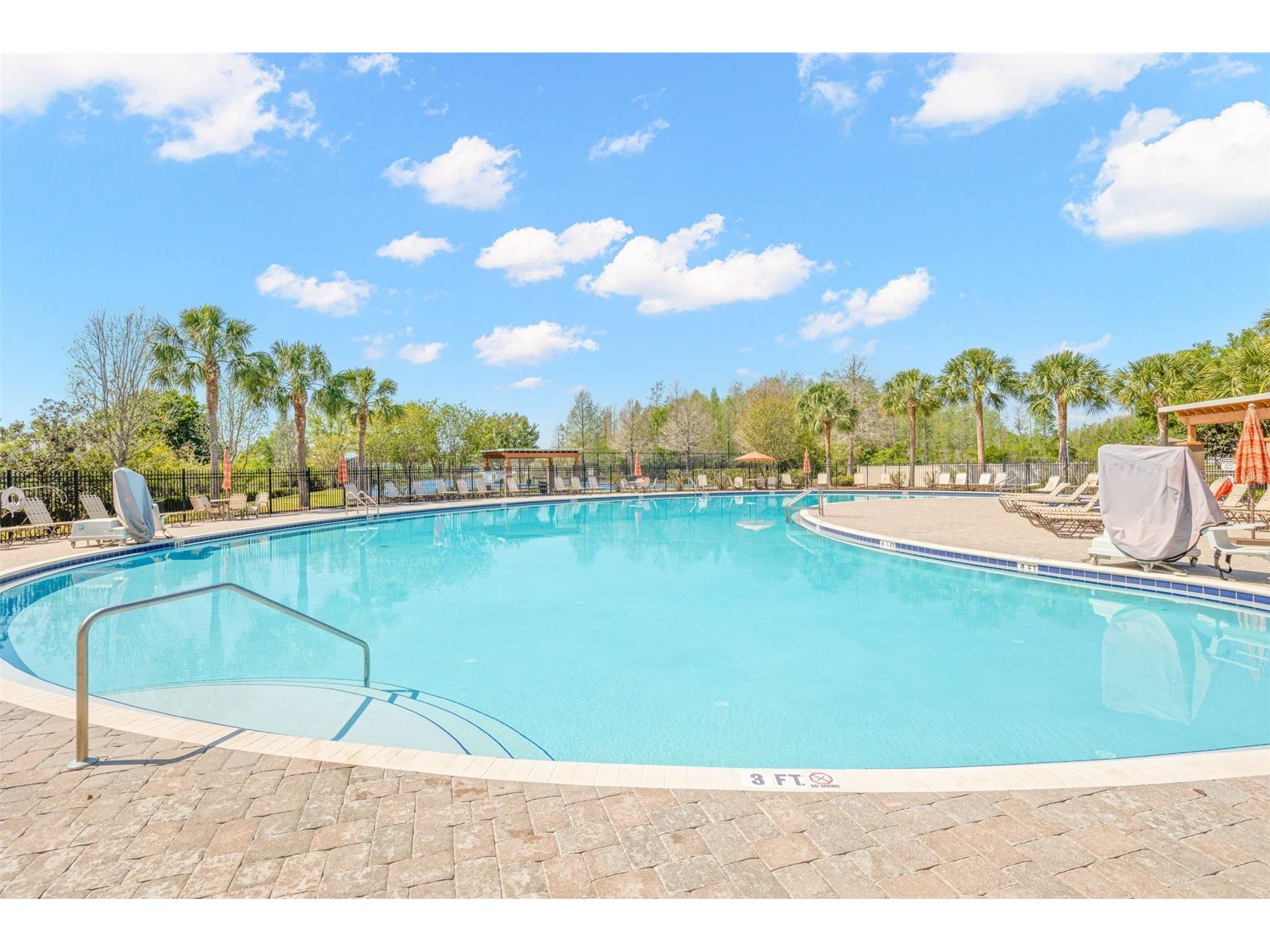 18928 Hampstead Heath Court Land O Lakes FL 34638 TB8502575 image37