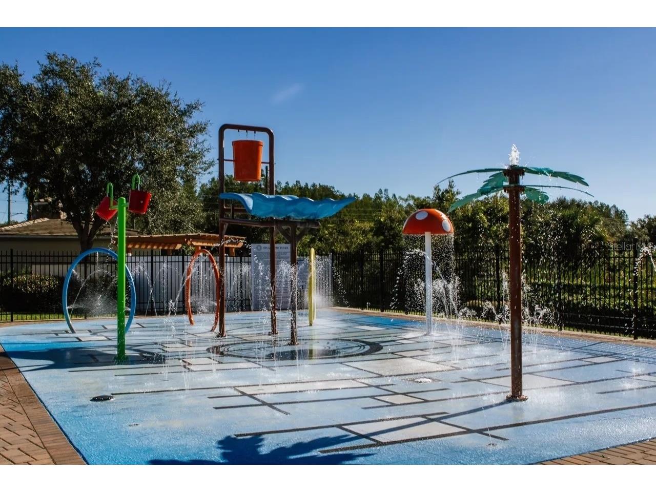 18928 Hampstead Heath Court Land O Lakes FL 34638 TB8502575 image38