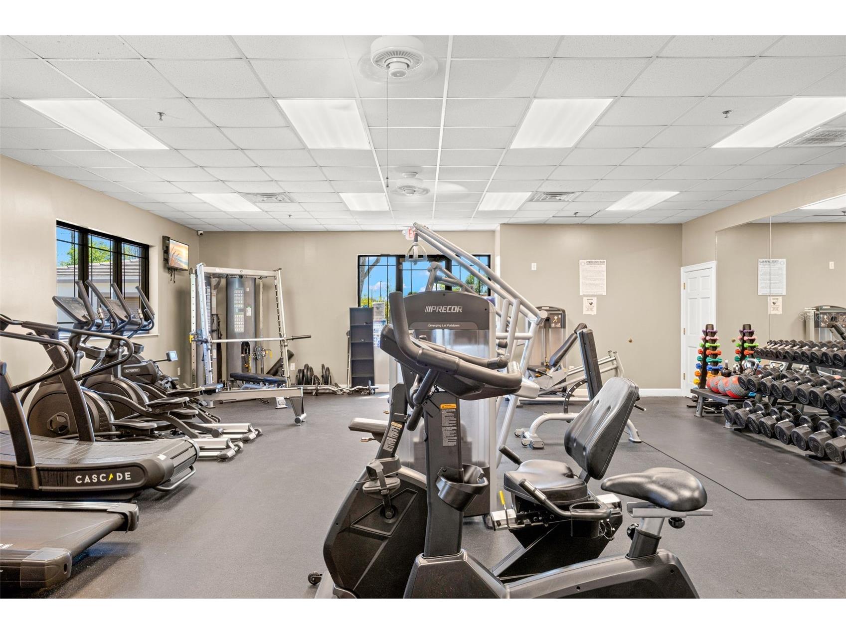 18928 Hampstead Heath Court Land O Lakes FL 34638 TB8502575 image39