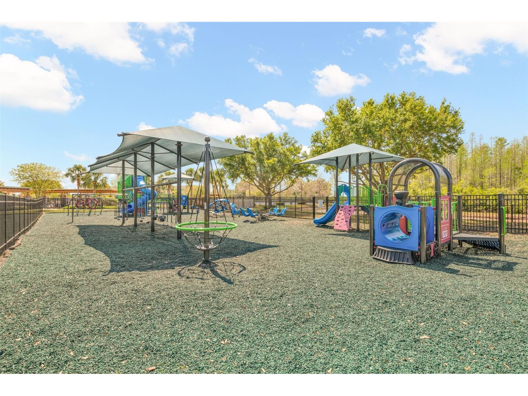 18928 Hampstead Heath Court Land O Lakes FL 34638 TB8502575 image42