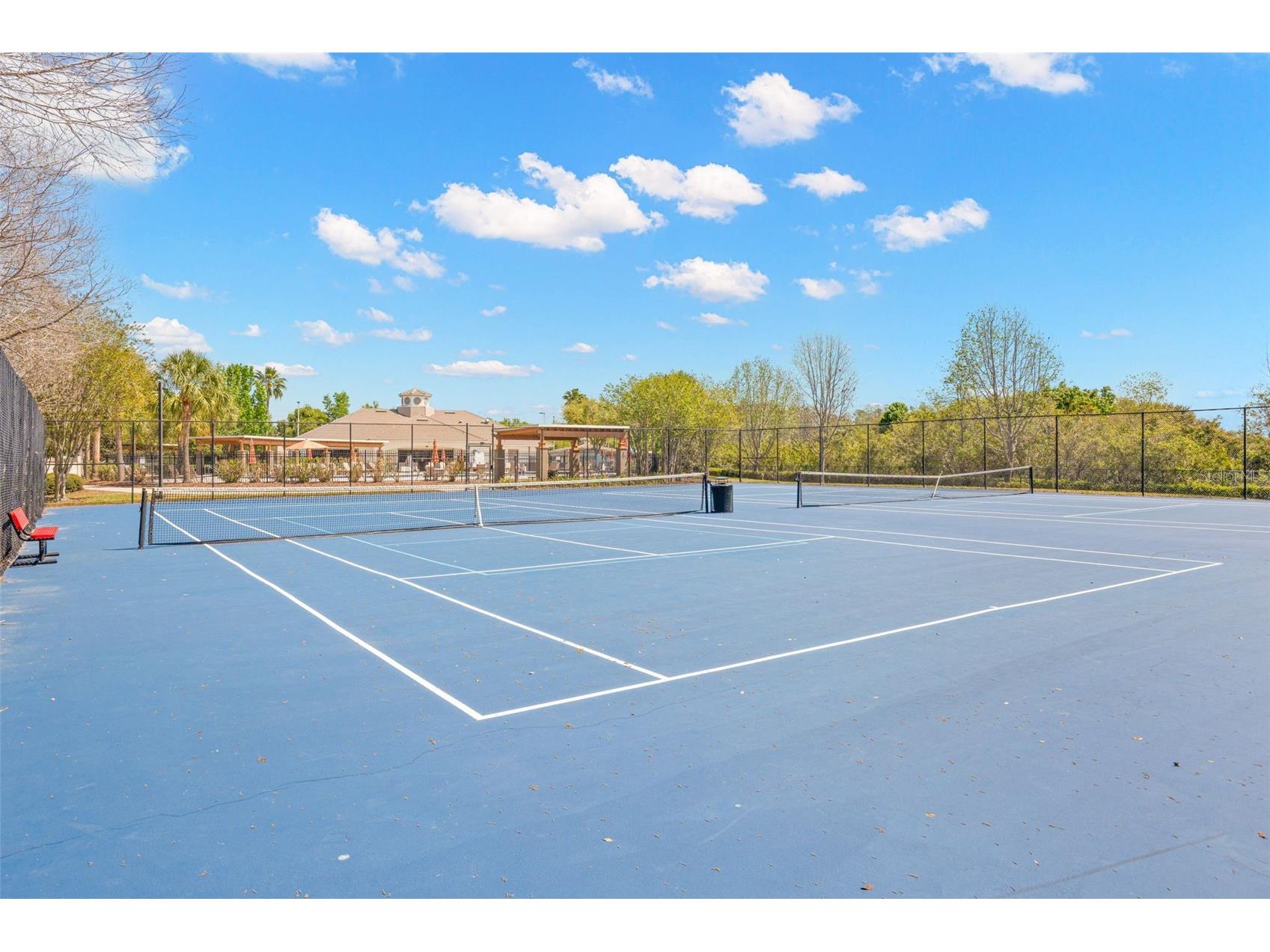 18928 Hampstead Heath Court Land O Lakes FL 34638 TB8502575 image43